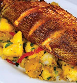 Red Snapper